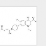 Norfloxacin Succinil