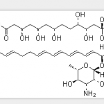 Nystatin