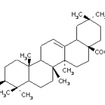 Oleanic acid hydrate