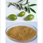 Olive Leaf Extract