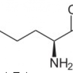 Ornithine