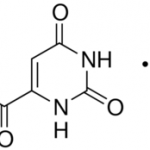 Orotic Acid Monohydrate