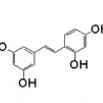 Oxyresveratrol