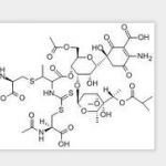 Paldimycin