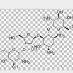 Paromomycin