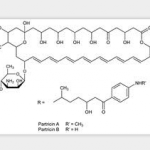 Partricin