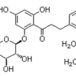 Phloridzin