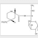 Pirlimycin