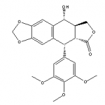 Podophyllotoxin