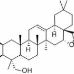 Polygalacic acid