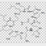 Polymycin B-Methanesulfats