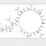 Polymyxin M