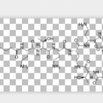 Polymyxin B