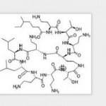 Polymyxin E sulfate