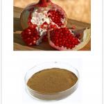 Pomegranate Extract