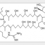 Primycin