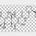 Prolinomethyltetracycline