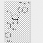 Puromycin