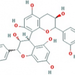 Pygeum Africanum Extract