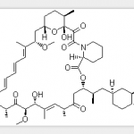 Rapamycin