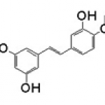 Rhapontigenin