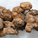 Rhizoma Polygonati Extract