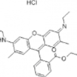 Rhodamine 6G