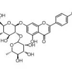 Rhoifolin