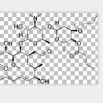 Rokitamycin