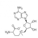 S-Adenosyl-L-methionine