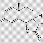 Santonin