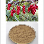 Schisandra Extract