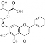 Scutellarin Methlester