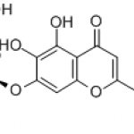 Scutellarin