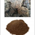 Shilajit Extract