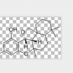 Siccanin