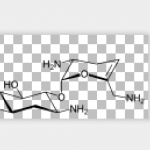 Sisomicin