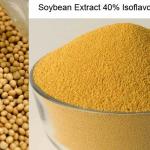 Soy Extract