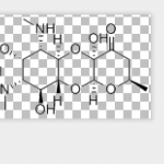 Spectinomycin Sulfate