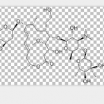 Spiramycin EP