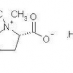 Stachydrine hydrochloride