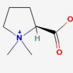 Stachydrine