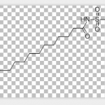Stearylsulfamide