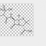 Subenicillin