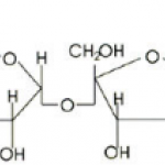 Sucrose Fatty Acid Esters