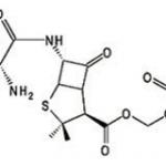 Sultamicillin