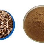 Swordlike Atractylodes Rhizome Extract