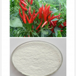 Synthetic Capsaicin Extract