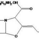 T-Octylammonium Clavulanate