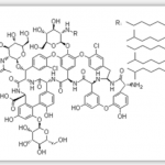 Teichomycin